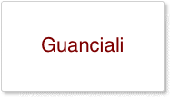 Guanciali